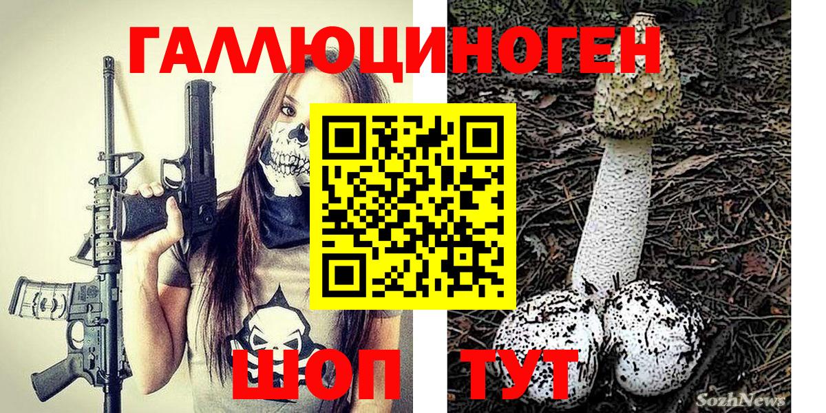 Галлюциногенные грибы GOLDEN TEACHER Аша