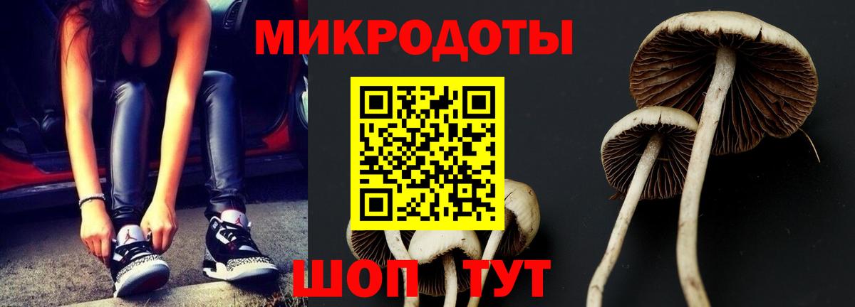 Псилоцибиновые грибы GOLDEN TEACHER  Вход с VPN  Аша 